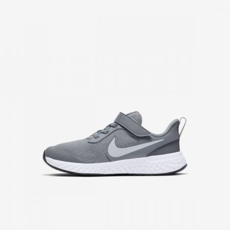 Nike Shoes Revolution 5 | Cool Grey / Dark Grey / Pure Platinum