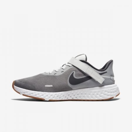 Nike Shoes Revolution 5 FlyEase | Smoke Grey / Photon Dust / Metallic Copper / Dark Smoke Grey