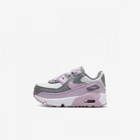 Nike Shoes Air Max 90 | Particle Grey / Photon Dust / White / Iced Lilac