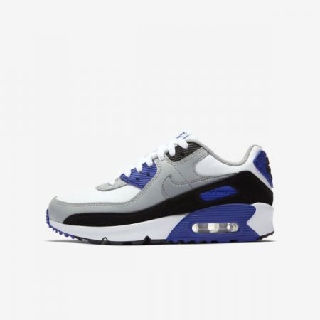 Nike Shoes Air Max 90 LTR | White / Light Smoke Grey / Hyper Royal / Particle Grey