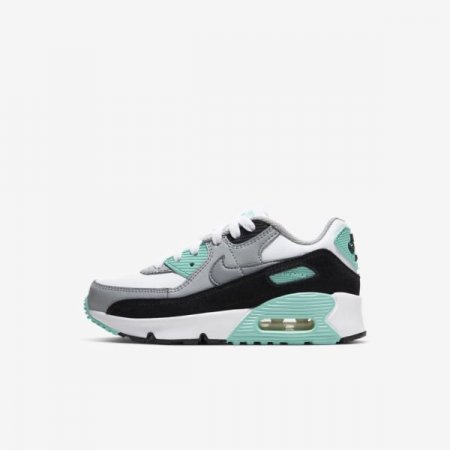 Nike Shoes Air Max 90 | White / Light Smoke Grey / Hyper Turquoise / Particle Grey