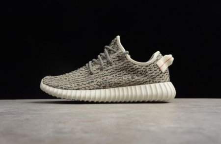 Men's | Adidas Yeezy Boost 350 Turtle Dove AQ4832