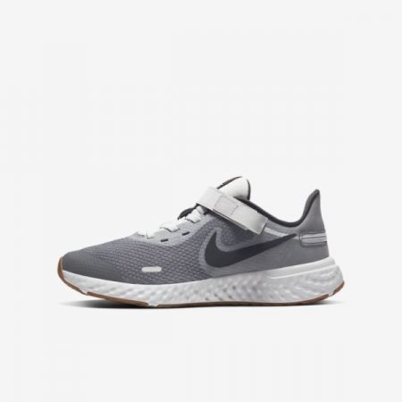 Nike Shoes Revolution 5 FlyEase | Light Smoke Grey / Photon Dust / Gum Medium Brown / Dark Smoke Grey