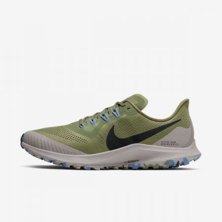 Nike Shoes Pegasus 36 Trail | Alligator / Atmosphere Grey / Light Blue / Anthracite